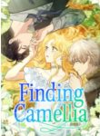 Finding Camellia