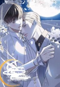 Night of London [Official]