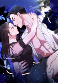 Should Not [Full ver.]