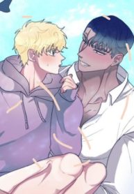 Shark And Bunny Bride [Zinchan]